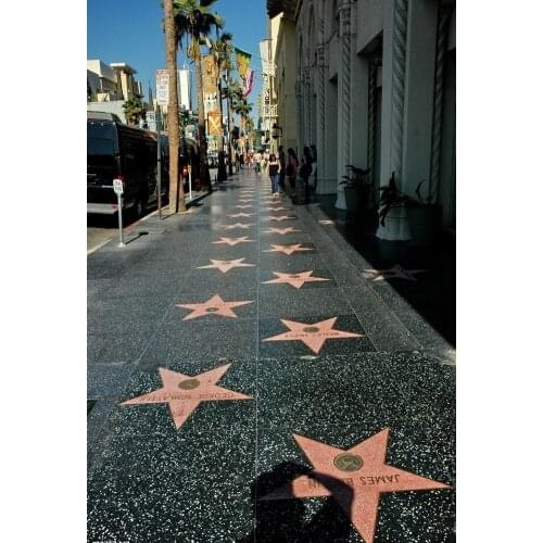 Hollywood Walk Of Fame photo studio background High quality Computer print scenic backdrop