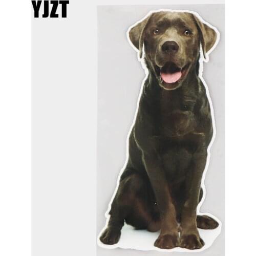 YJZT 12×24.1CM Black Labrador Funny Dog Car Stickers Fashion Body Bumper Decoration Decals 21A-0021