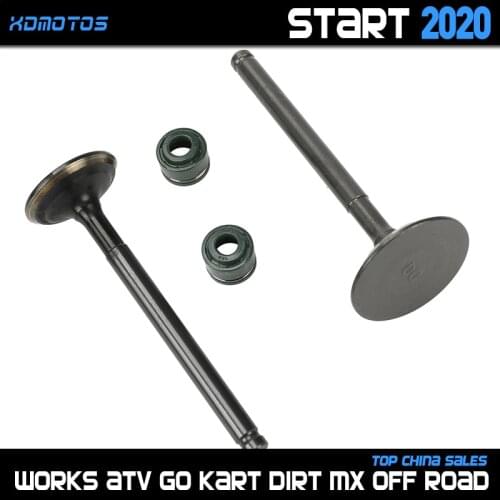 Motorcycle Intake exhaust valves with Oil Seal kit For 60mm Bore YinXiang YX 150 160 150cc 160cc Engine Dirt Pit Bikes ATV Parts