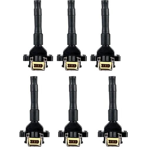 6pcs Ignition Coil Pack For-bmw 320i 325i 325is 525i M3 2.0l 2.5l 3.0l L6 12131402440 0221504410