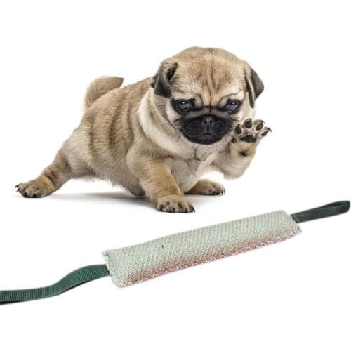 Kapmore 1pc Bite Resistant Dog Toy Interactive Natural Puppy Teething Toy Pet Chew Toy For Puppy Pet Supplies Pet Accessories