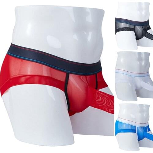 Mens Breathable Low-rise Sexy Briefs See-through Soft Mesh Underwear With Penis Sheath Transparent Sissy Panties Lingerie 2021