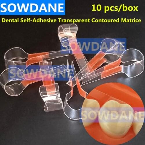 Dental Self-Adhesive Transparent Sectional Contoured Matrix Twin Anterior Matrice Matrix for Premolar Molars Polyester Matrices