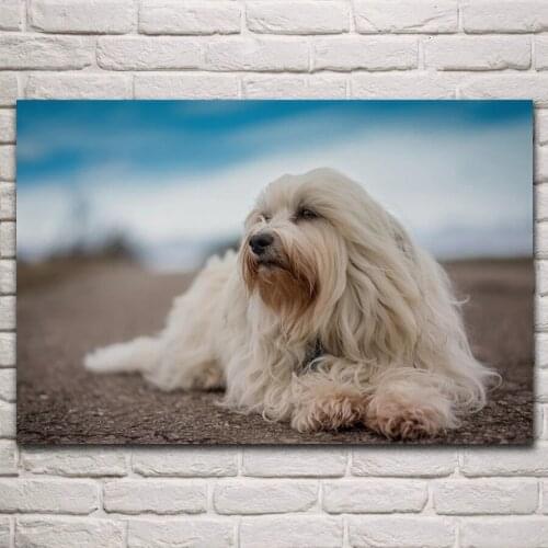 5D Diy Diamond Painting Cartoon dog Pictures Cross Stitch full Square Round Diamond Embroidery animal for Home Decor Gift P637