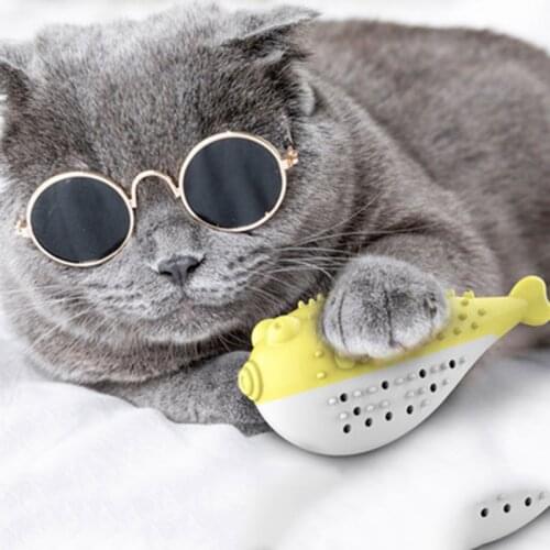 Cat toy mint simulation fish cat toothbrush resistant to bite and clean teeth