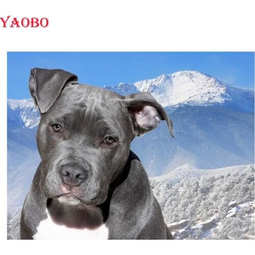 3d diy diamond embroidery American bully pitbull dog diamond painting 5d cross stitch full square drill mosaic Decor Home