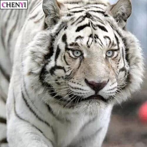 CHENYI 5D Diamond Painting White Tiger DIY Round/Square Full Diamond Embroidery Cross Stitch Kit Animal Home Decoration Crafts
