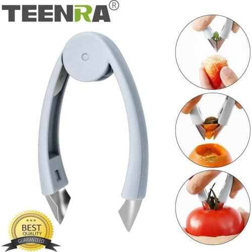 TEENRA Stainless Steel Fruit Eye Seed Remover Clip Pineapple Eye Peeler Knife Pineapple Seed Remover Clip Seeder Kitchen Tools