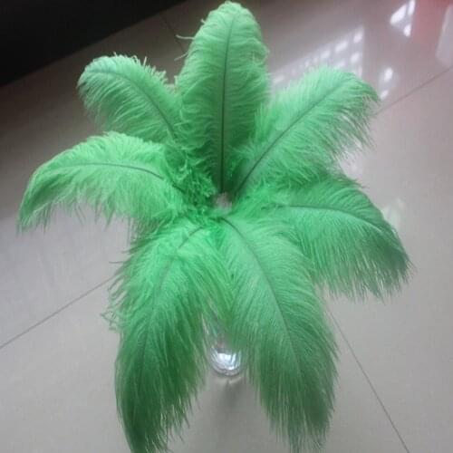 Wholesale 10pcs Fruit Green Natural Ostrich Feather 25-30cm/10-12 inch Wedding Party Christmas Home Craft Accessories Decoration