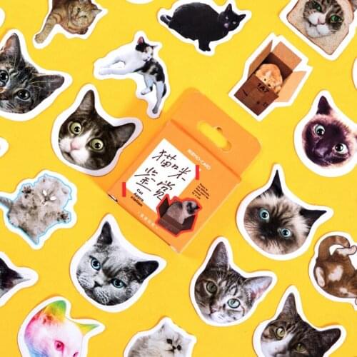 Mo.Card Cat Appreciation Mini Paper Diary Sticker Journal Scrapbooking Decoration Label Retail