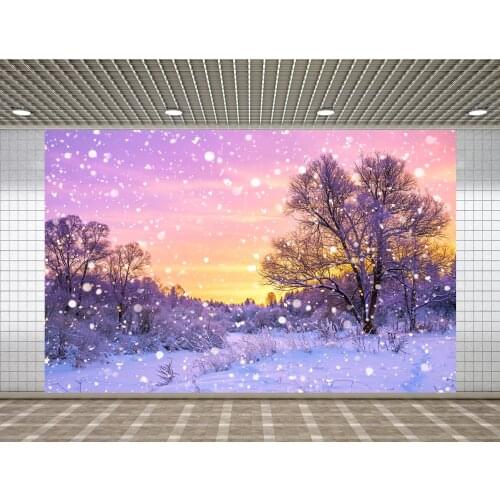 Lyavshi Beautiful winter forest landscape with trees and sunrise background Photo Vinyl Studio Props Photography Backdrops