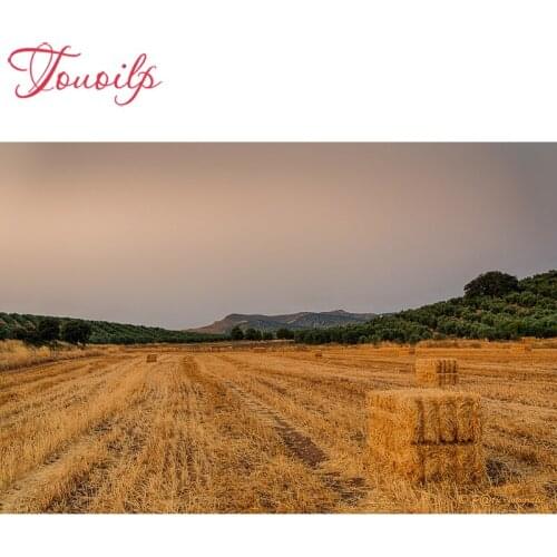 TOUOILP 3D diamond embroidery Farmland view straw diamond diy diamond painting needlework canvas Home Decoration