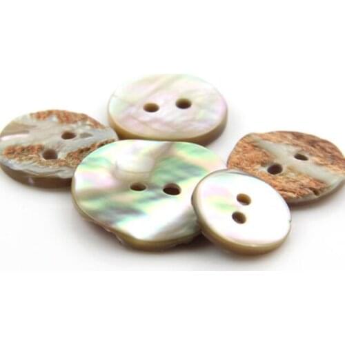 Abalone shell button imported coat shell button shirt button coat button