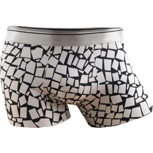 Summer Underpants Man Ice Silk Silky Male Underwear Prints Men Boxer Shorts Seamless Intimate Mens Thin Nylon Underwears Boxers