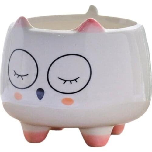 1PC Cartoon Flower Pots Ceramic Succulent Plant Pots Home Decor Craft Desktop Animal Flower Pot Office Living Room Ornaments