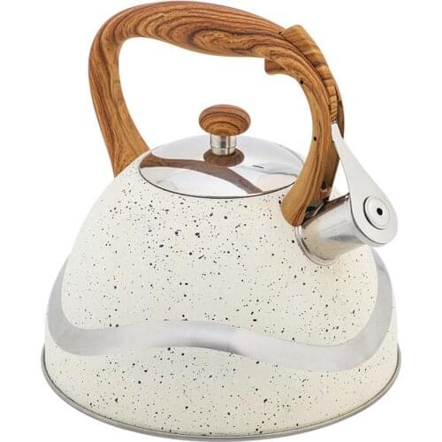 3.5L Stainless Steel Whistling Tea Kettle Coffee Teapot Water Bottle With Heat-proof Handle For Gas Stoves, Induction Cookers