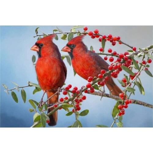 Diamond Painting Full Circle Diamond Kit Rhinestone Picture Art Craft Home Door Decoration (Cardinal)