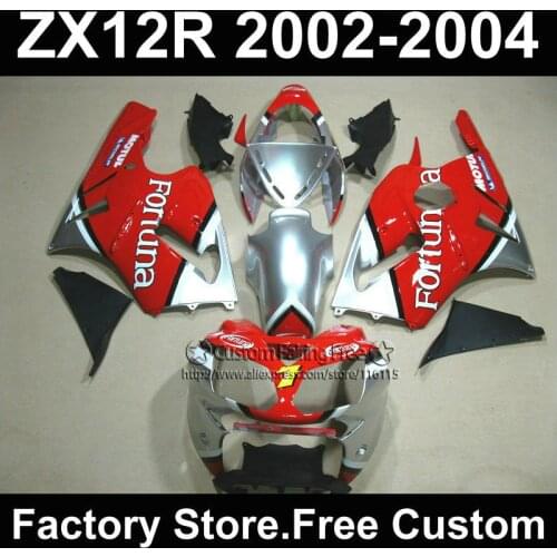 Customize red silver Fortuna fairing kits for Kawasaki fairings 2002 2003 2004 ZX12R Ninja ZX 12R 02 03 04 motorcycles bodywork