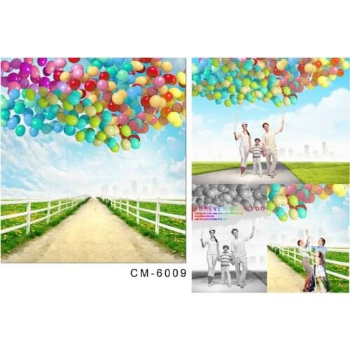 Photographic Camera Background Balloons In Blue Sky Wide Road Green Land For Wedding Photo Shoots Real Backdrop for Photo Studio