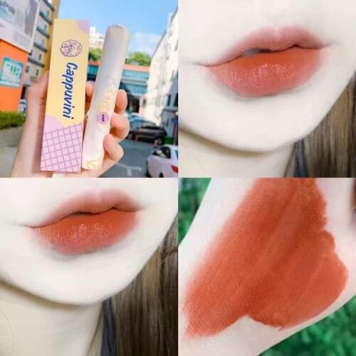 Cappuvini Liquid Lipstick Cute Velvet Ice Cream Long-lasting Lip Gloss Soft Matte Lip Stick Gift With Box Lip Makeup TSLM2
