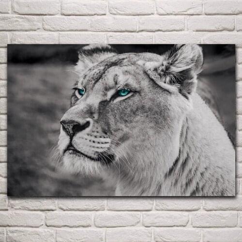 Cool lion blue eyes majestic predator artistic portrait living room home wall art decor canvas silk print fabric poster KM674