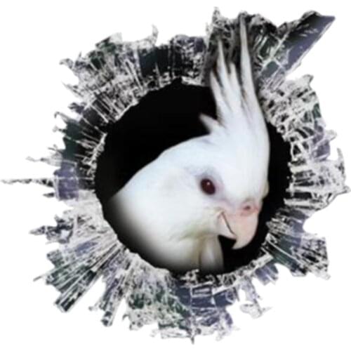 Creative Car Sticke 3D Albino Cockatiel Car Window Decal Accessories Waterproof High Quality Vinyl Cover Scratches PVC 13cmX12cm