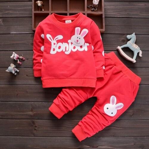 Children Girl Spring Fall Clothes Set Long Sleeve Cute Rabbit Print + Pants 2pcs Baby Girl Outfits Suit Girls Hoodies Cltohing