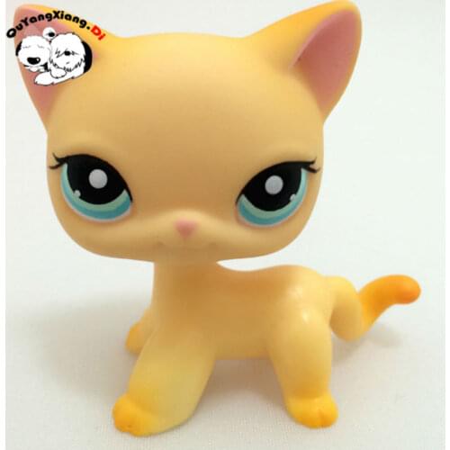 CWM008 Pet Shop Animal Orange Short Hair Cat Brooke Race about Ranch Cat doll action Figure kitten