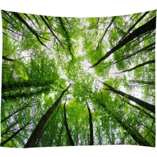 Natural Landscape The Primeval Forest Woods Tapestry Wall Hanging Bed Spread Beach Towel Table Cloth Yoga Mat Large Size