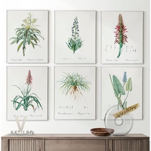 Minimalist Flowers Style Botanical Chart Printable Poster Art Prints Educational Wall Chart Decor Canvas Painting Room Decorate