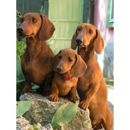 Animal Dog DIY Embroidery 11CT Cross Stitch Kits Craft Set Cotton Thread Printed Canvas Home Decoration Dropshipping Wholesale