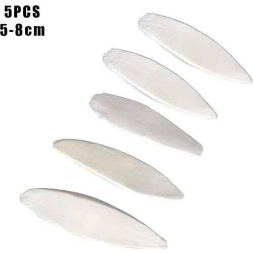 5pcs Pets Feeding Chewing Supplies Cuttle Fish Cuttlefish Bone For Budgie Birds Pet Chewing Toy Calcium Supplement Molar