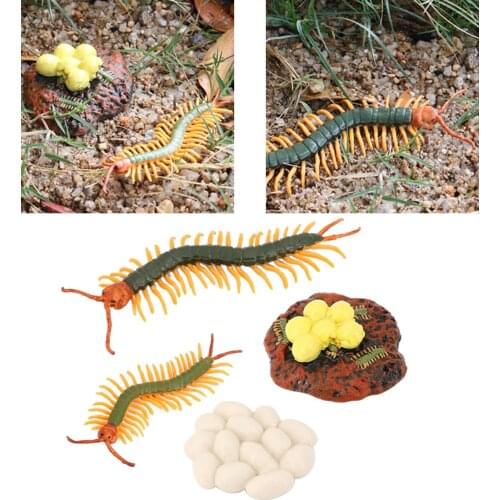 Insect Centipede Lore Life Cycle - 4 Pcs Insect Figure Shows Life Eggs Hatch