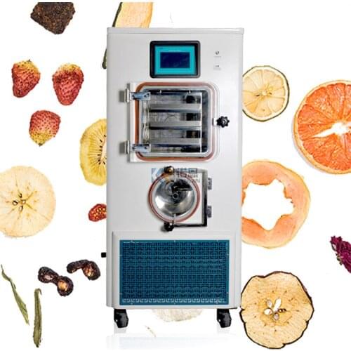 Industrial Vacuum Freeze Dryer Machine Lyophilizer Lab Price for Food Fruit Vegetables Mini Freeze Drying Machine in Philippines