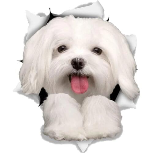 S41040# Various Sizes Self-Adhesive Decal Funny Cute Maltese Car Sticker Waterproof Auto Decors on Bumper Rear Window
