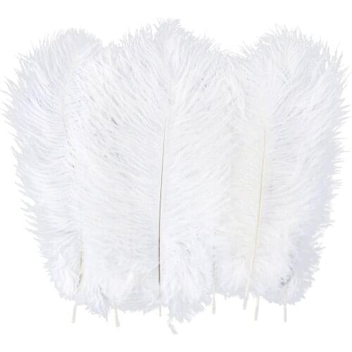 10 Pieces White Ostrich Feather Wedding Home Decoration 15-20cm/25-30cm/30-35cm Ostrich Centerpiece Diy Crafts