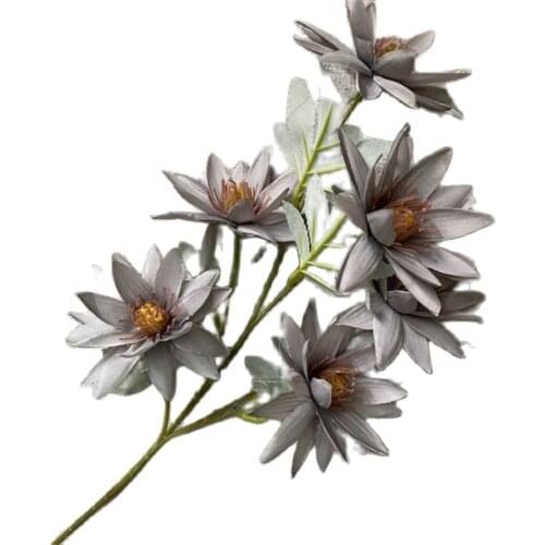 ONE Fake Long Stem Callistephus Chinensis (6 Heads/Piece) 27.56" Length Simulation Aster for Wedding Home Artificial Flowers