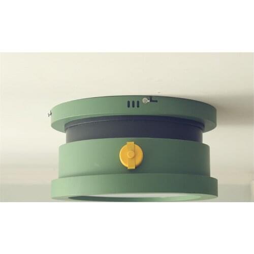 Nordic Green Cartoon Ceiling Lights Childrens Room Round LED Lighting Bedroom Restaurant Clothing Store Cloakroom Ceiling Lamp