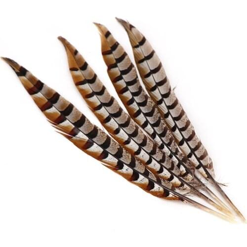 Promotion 100pcs/lot pheasant Tail feathers 25-30cm/10-12inch carnival Jewelry Wedding Accessories diy DIY plume