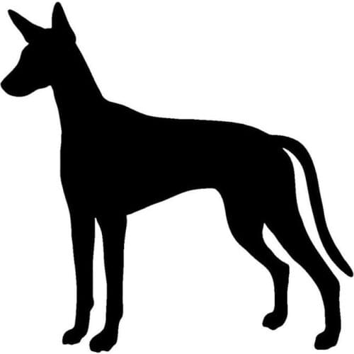 Personality Ibizan Hound Dog Vinyl Decal Silhouette Car Stickers Car Styling Bumper Decoration Cover Scratches Waterproof PVC