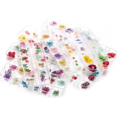 1 Box Dried Pressed Flowers Small Real Natural Dry Plants Epoxy Resin Mold Fillings For Jewelry Card Candle DIY Art Crafts