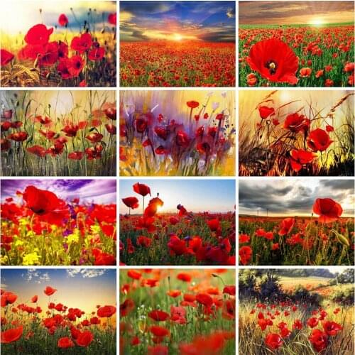 EverShine Diamond Painting Floral Cross Stitch 5D Diamond Embroidery Poppy Flower Mosaic Kits Handmade Hobby Gift Needlework