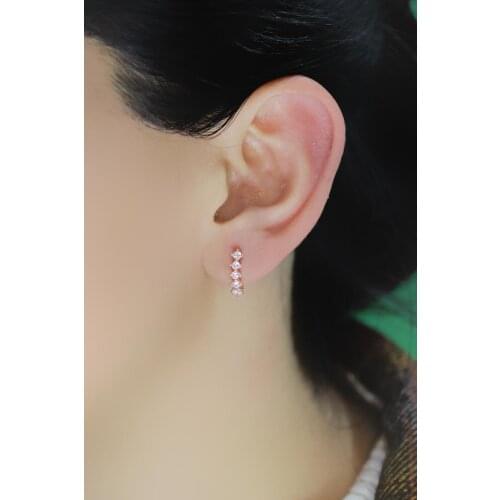 2021 womens Earrings Best Selling Silver Rose Yellow Zircon 5 Stone Earrings Jewelry Fashion Elegant Design Gift fantastic