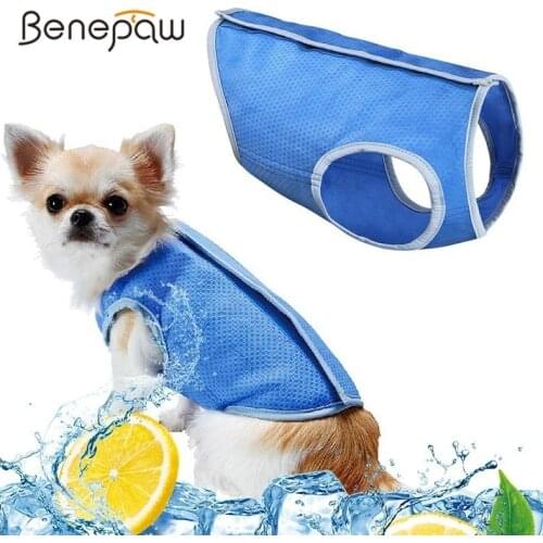 Benepaw Lightweight Cooling Dog Vest Back Hook And Loop Closure Nontoxic Pet Dog Clothes Summer Coat Jacket For Puppy Cat Kitten