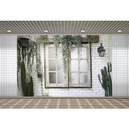 Lyavshi Old Window Brick Wall Cactus Light Baby Portrait Room Decro Photozone Photophone Photographic Backdrops Photo Background