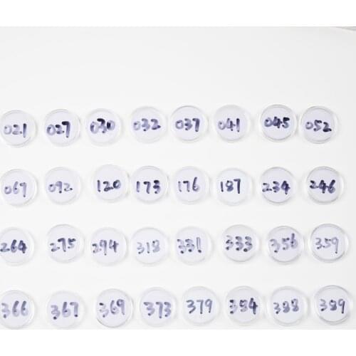 Animal Crossing Card (031 to 060) NFC215 Card Work for NS Games Series 1