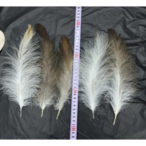Wholesale 10pcs / lot beautiful rare eagle feathers long 4-6 inch /10-15 cm DIY Diy jewelry wedding decorative accessories