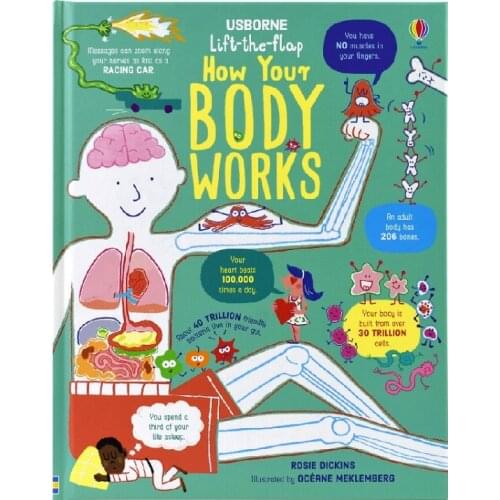 Lift the Flap How Your Body Works 3D Flap Picture Books Space Children Enlightenment English Cardboard Book