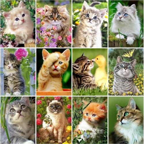 MomoArt Diamond Painting Cat Mosaic Sale 5D DIY Diamond Embroidery Animal Diamond Moasic Spring Rhinestone Art Wall Decorations