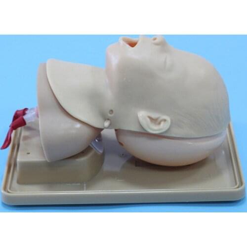 Neonate Tracheal Intubation Training Model